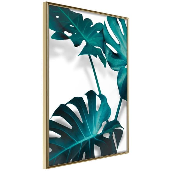 Inramad Poster / Tavla - Turquoise Monstera II