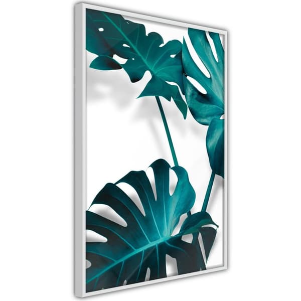 Inramad Poster / Tavla - Turquoise Monstera II Vit ram 40x60