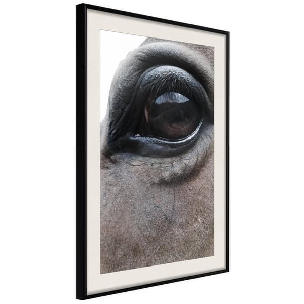 Inramad Poster / Tavla - Gentle Eyes