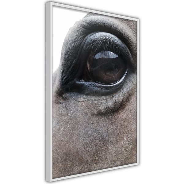 Inramad Poster / Tavla - Gentle Eyes