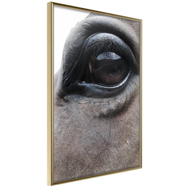 Inramad Poster / Tavla - Gentle Eyes