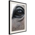 Miniatyrbild 5 av 11: Inramad Poster / Tavla - Gentle Eyes