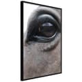Miniatyrbild 2 av 11: Inramad Poster / Tavla - Gentle Eyes