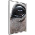 Miniatyrbild 9 av 11: Inramad Poster / Tavla - Gentle Eyes