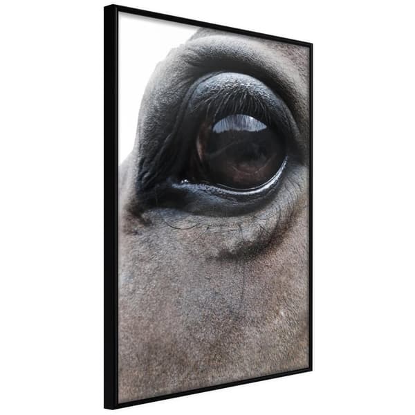 Inramad Poster / Tavla - Gentle Eyes