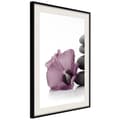 Miniatyrbild 5 av 11: Inramad Poster / Tavla - Violet Harmony