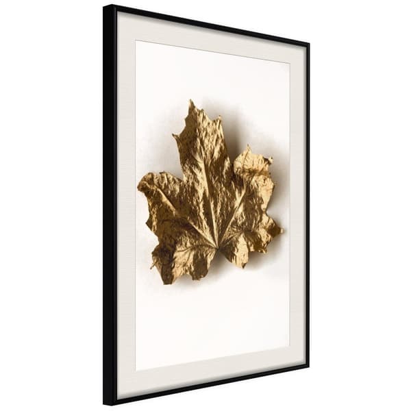 Inramad Poster / Tavla - Dried Maple Leaf
