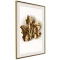 Miniatyrbild 10 av 11: Inramad Poster / Tavla - Dried Maple Leaf