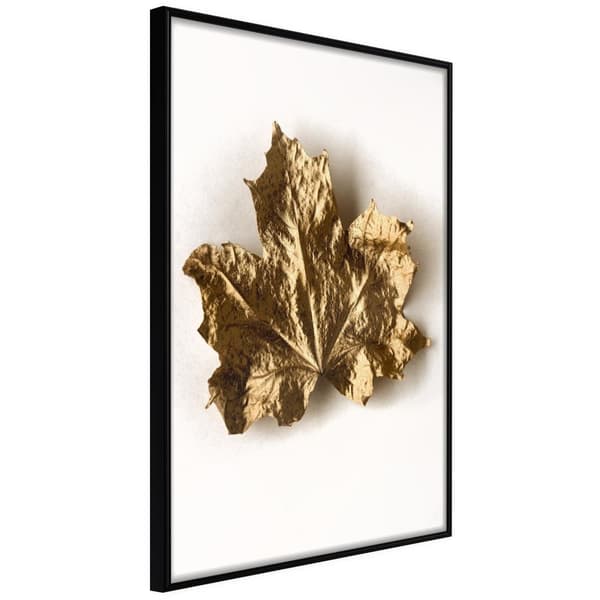 Inramad Poster / Tavla - Dried Maple Leaf