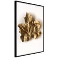 Miniatyrbild 2 av 11: Inramad Poster / Tavla - Dried Maple Leaf