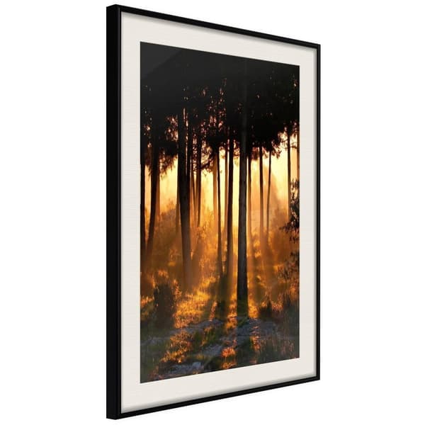 Inramad Poster / Tavla - Dark Tree Tops