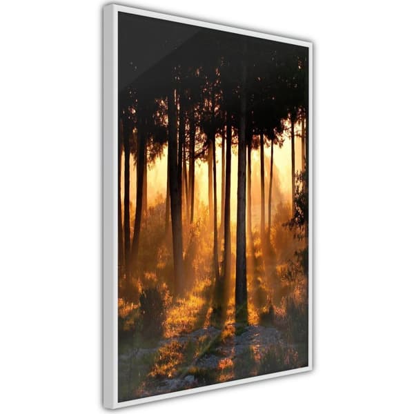 Inramad Poster / Tavla - Dark Tree Tops