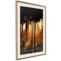 Miniatyrbild 9 av 11: Inramad Poster / Tavla - Dark Tree Tops