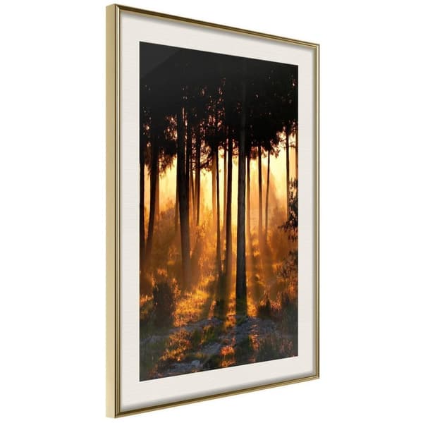 Inramad Poster / Tavla - Dark Tree Tops