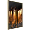 Miniatyrbild 1 av 11: Inramad Poster / Tavla - Dark Tree Tops