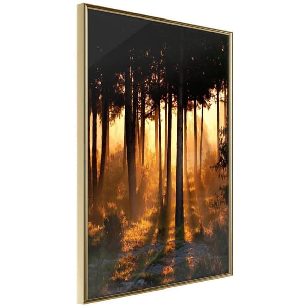 Inramad Poster / Tavla - Dark Tree Tops Guldram 30x45