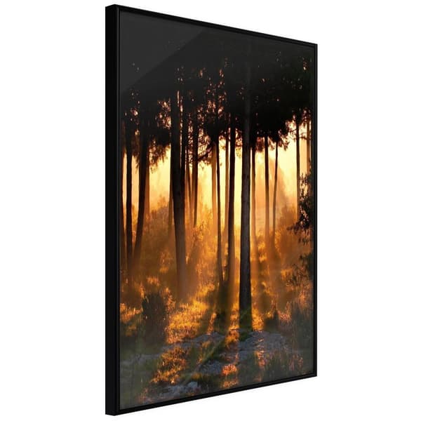 Inramad Poster / Tavla - Dark Tree Tops