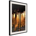Miniatyrbild 1 av 11: Inramad Poster / Tavla - Dark Tree Tops