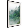 Miniatyrbild 5 av 11: Inramad Poster / Tavla - Green Lungs of the Earth II
