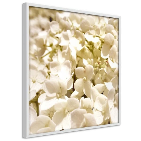 Inramad Poster / Tavla - Soothing Flowers