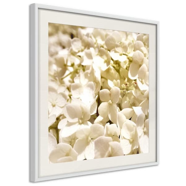 Inramad Poster / Tavla - Soothing Flowers
