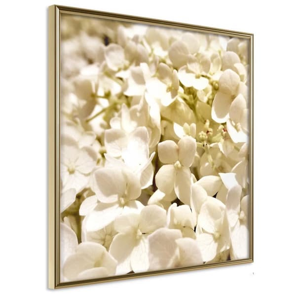 Inramad Poster / Tavla - Soothing Flowers
