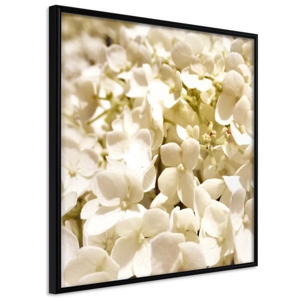 Inramad Poster / Tavla - Soothing Flowers