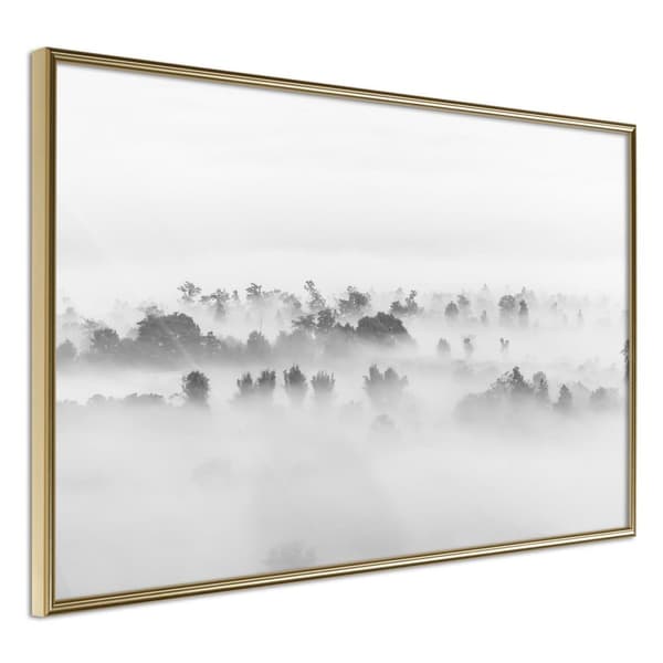 Inramad Poster / Tavla - Fog Over the Forest