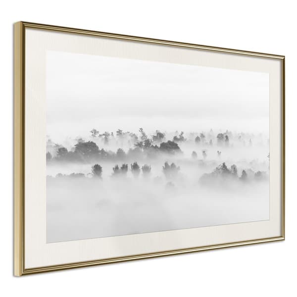 Inramad Poster / Tavla - Fog Over the Forest