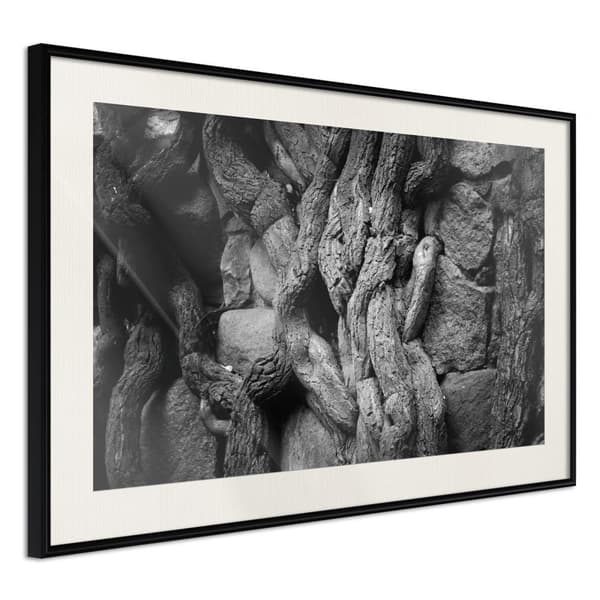 Inramad Poster / Tavla - Strong Roots