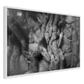Miniatyrbild 8 av 11: Inramad Poster / Tavla - Strong Roots