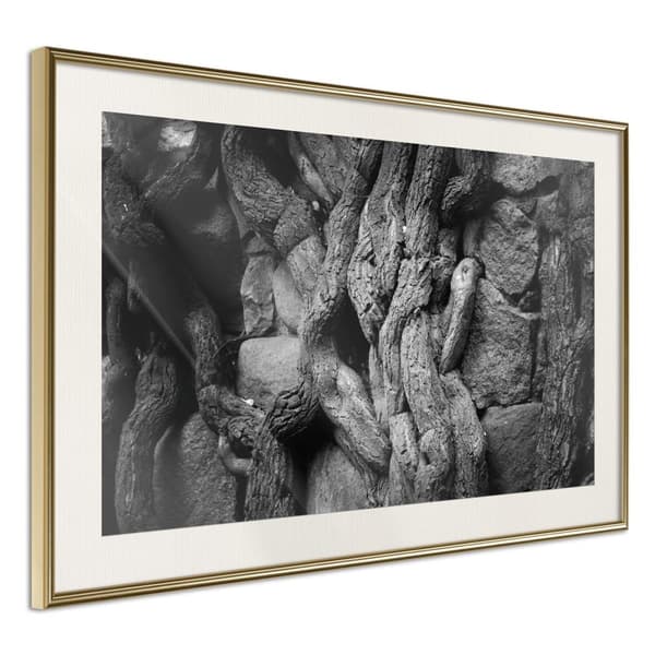 Inramad Poster / Tavla - Strong Roots