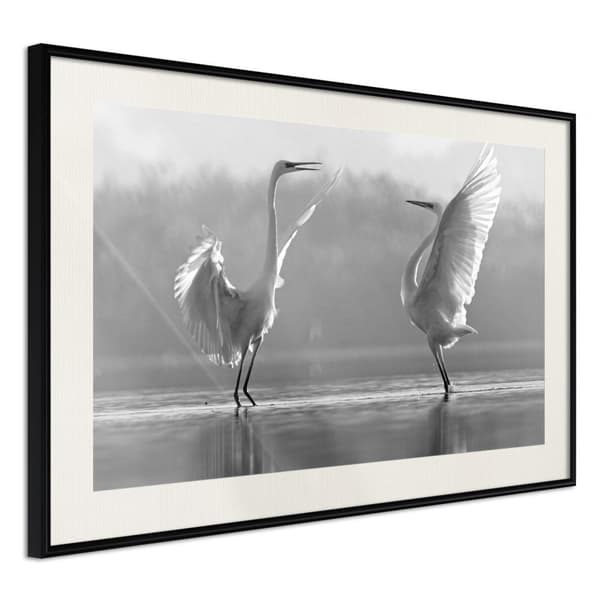 Inramad Poster / Tavla - Black and White Herons Svart ram med passepartout 45x30