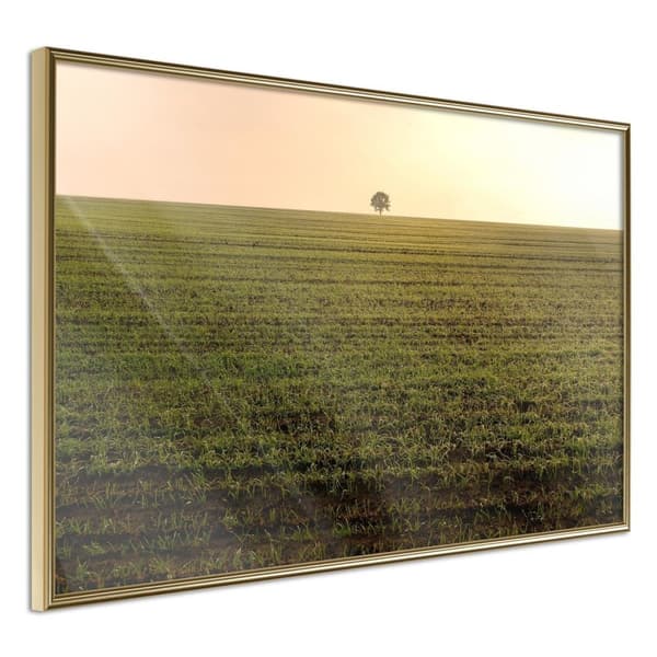 Inramad Poster / Tavla - Farmland