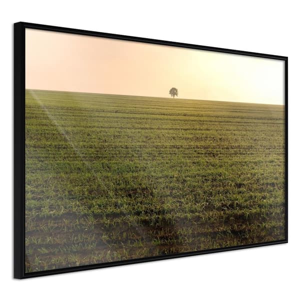 Inramad Poster / Tavla - Farmland