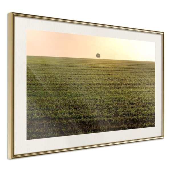 Inramad Poster / Tavla - Farmland