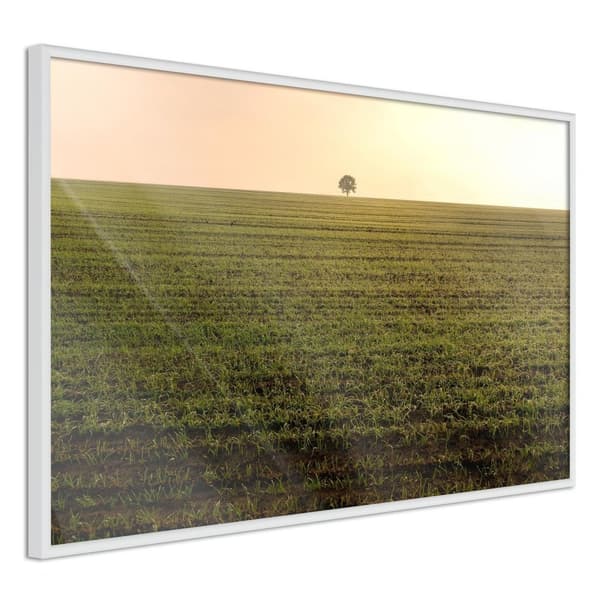 Inramad Poster / Tavla - Farmland