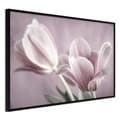 Miniatyrbild 1 av 11: Inramad Poster / Tavla - Pastel Tulips I