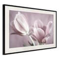 Miniatyrbild 4 av 11: Inramad Poster / Tavla - Pastel Tulips I