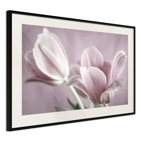 Inramad Poster / Tavla - Pastel Tulips I