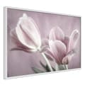 Miniatyrbild 8 av 11: Inramad Poster / Tavla - Pastel Tulips I