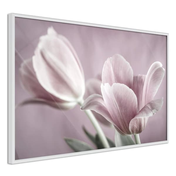 Inramad Poster / Tavla - Pastel Tulips I