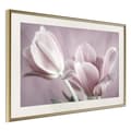 Miniatyrbild 9 av 11: Inramad Poster / Tavla - Pastel Tulips I