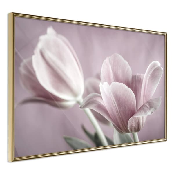 Inramad Poster / Tavla - Pastel Tulips I