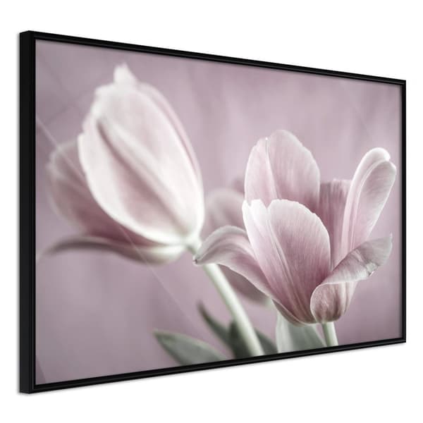 Inramad Poster / Tavla - Pastel Tulips I