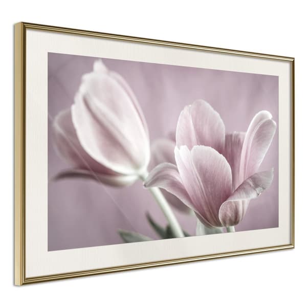 Inramad Poster / Tavla - Pastel Tulips I