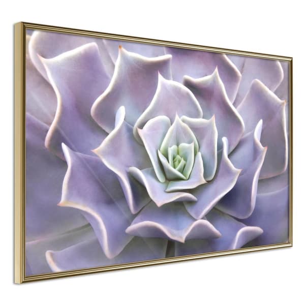 Inramad Poster / Tavla - Like a Flower