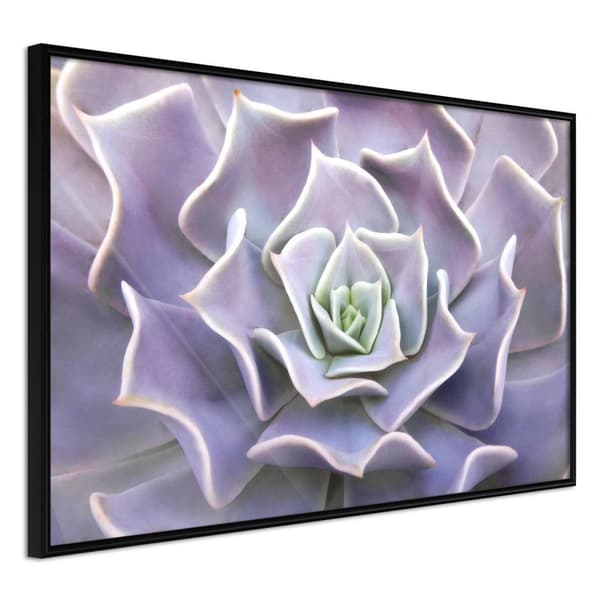 Inramad Poster / Tavla - Like a Flower