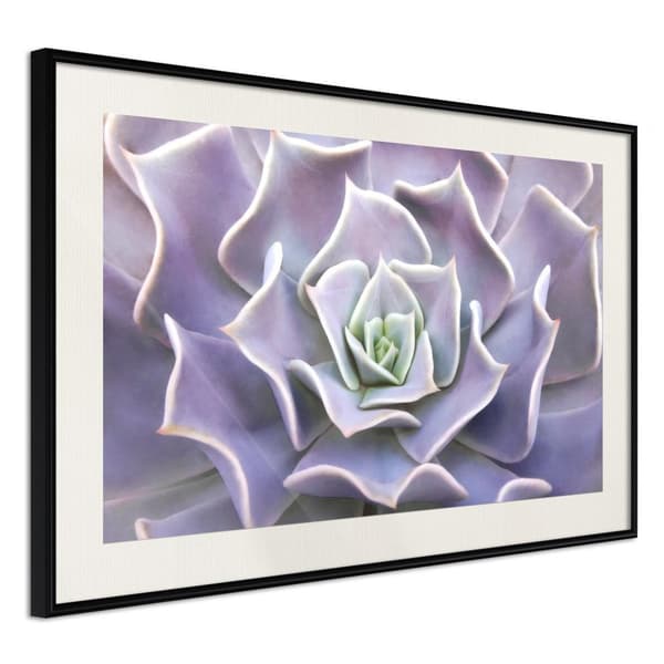 Inramad Poster / Tavla - Like a Flower