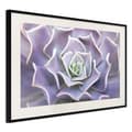 Miniatyrbild 4 av 11: Inramad Poster / Tavla - Like a Flower